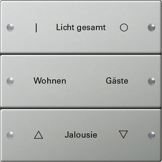 Gira 2133602 Wippenset 3-fach beschreibbar, System 55, Edelstahl