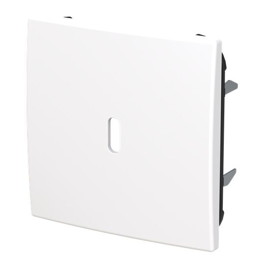 Busch-Jaeger 6479-914 Zentralscheibe für USB Ladestation 1-fach mit USB-C-Anschluss, Busch-balance SI, alpinweiß glänzend