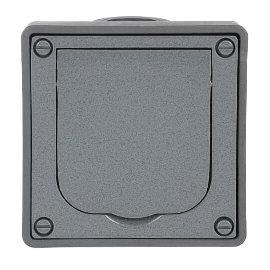 Busch-Jaeger 20 EFDB2 Schutzkontakt-Steckdose Safety+ für Wandeinbau, mit Klappdeckel, grau, Alu-Druckguss