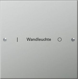 Gira 2131602 Wippenset 1-fach beschreibbar, System 55, Edelstahl