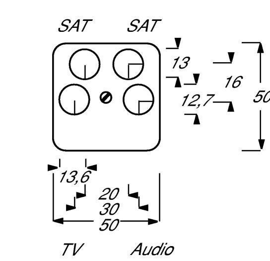 Busch-Jaeger 1743/10-04-212 Zentralscheibe TV/SAT, 4-fach für Antennensteckdose der Fa. Ankaro, 50 x 50 mm, weiß glänzend, Busch-Duro 2000 SI