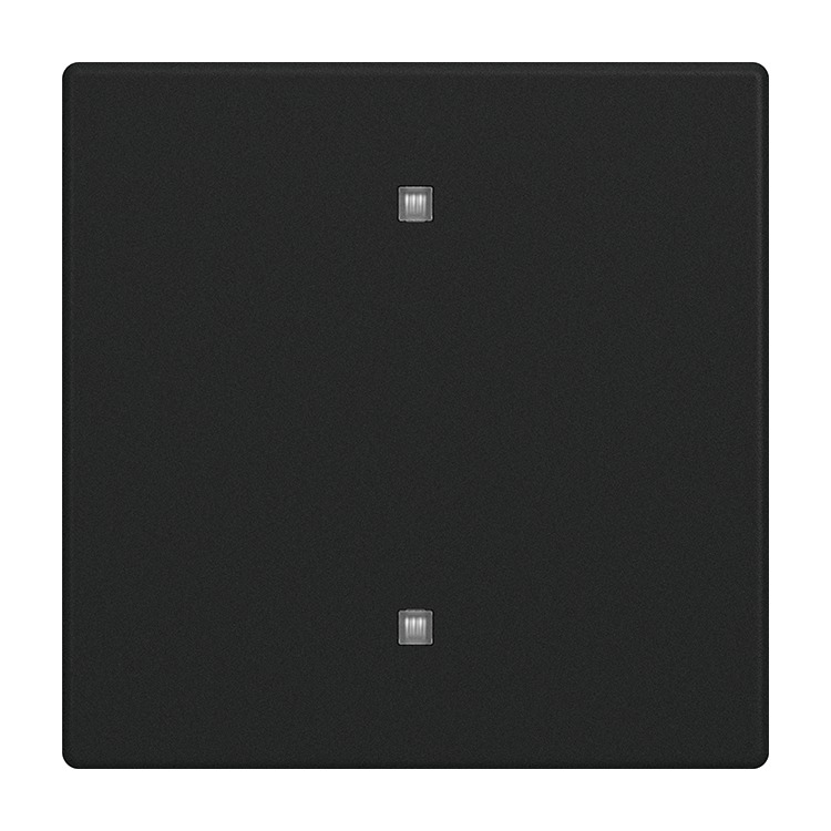 Busch-Jaeger 2570-10-885Wippe 1-fach für Elektroniktaster mit transparenten Kalotte, schwarz matt