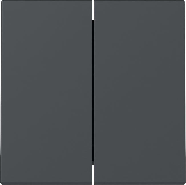 Gira 329528 Wippe 2-fach, System 55, anthrazit