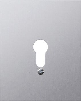 Gira 009830 Metallabdeckung ohne Symbole, WG Aufputz, aluminium
