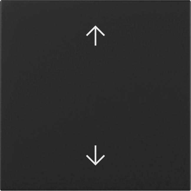 Gira 3616005 Wippe mit Bedruckung Pfeilsymbole, System 55, schwarz matt