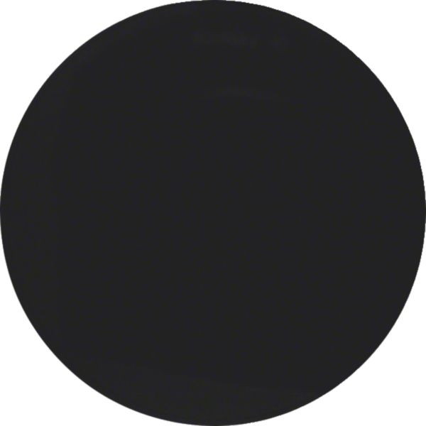Hager WLW1000BG Wippe 1-fach, R.Classic, schwarz glänzend