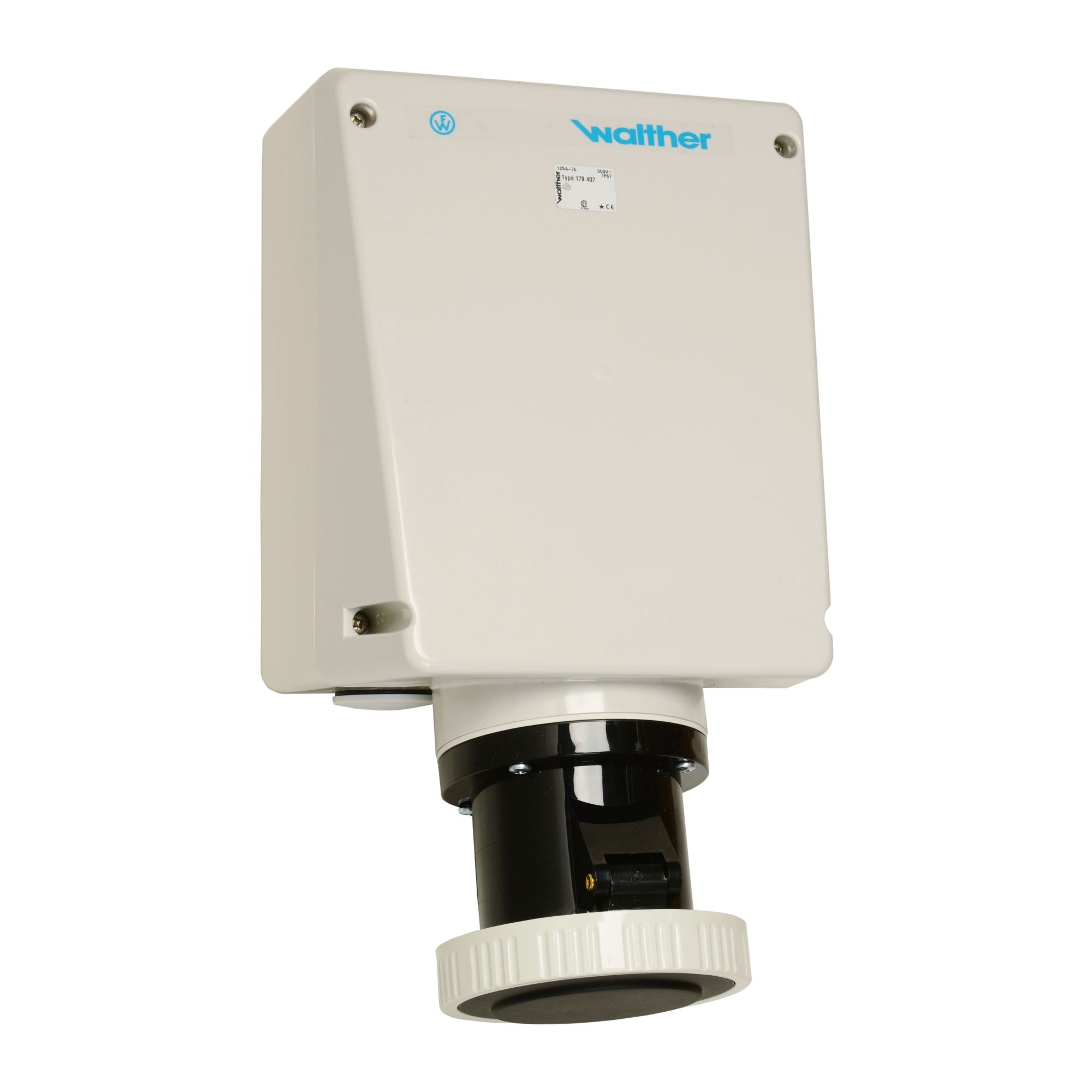 Walther Werke 179407 Wasserdichte Wandsteckdose zur Innenbefestigung 125A 4P 7h mit je 2 Kabeleinführungen oben/unten und Klemmsatz