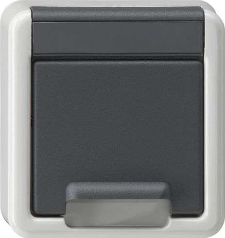 Gira 494230 Abdeckung Schutzkontakt-Steckdose Klappdeckel + Shutter, Wassergeschützt Aufputz, grau