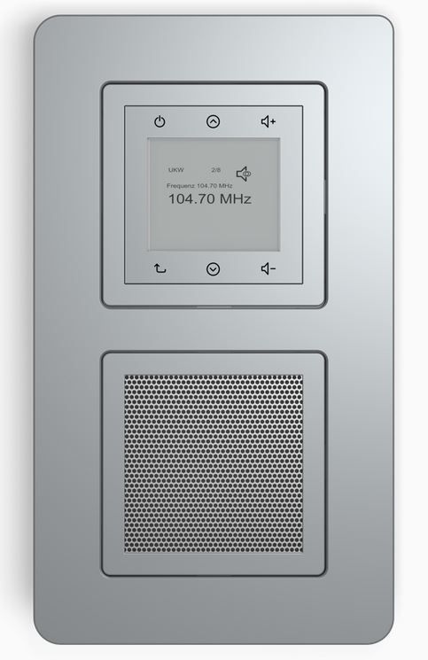 Berker 10126184 Rahmen 2-fach, Q.7, aluminium samt