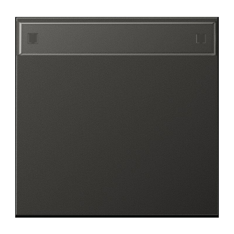 Jung AL2990NAAN Wippe, mit Schriftfeld, Aluminium lackiert, Serie LS, anthrazit
