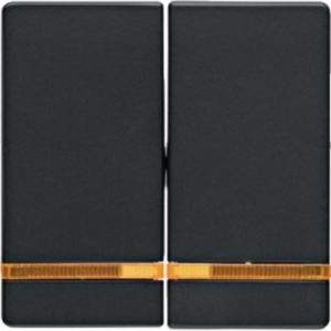 Berker MAN0200623 Wippe 2-fach mit Linse, Q.x, tiefschwarz matt