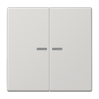 Jung LS10921STRFLG KNX RF Taster 2-fach, Duroplast, Serie LS, lichtgrau