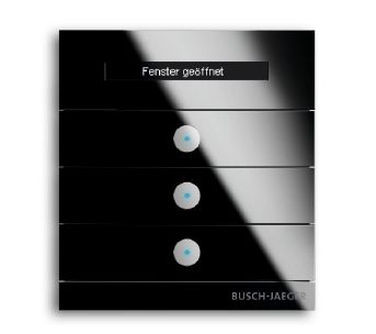 Busch-Jaeger 6349-825-101 Abschlussleiste unten mit Schriftzug, Busch-priOn