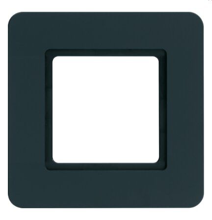 Berker 10116106 Rahmen 1-fach, Q.7,für LED-Beleuchtung durch LED-Modul, anthrazit samt