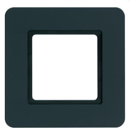 Berker 10116106 Rahmen 1-fach, Q.7,für LED-Beleuchtung durch LED-Modul, anthrazit samt