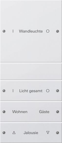 Gira 220427 Wippenset 4-fach (1+3) beschreibbar System 55 Reinweiß seidenmatt lackiert