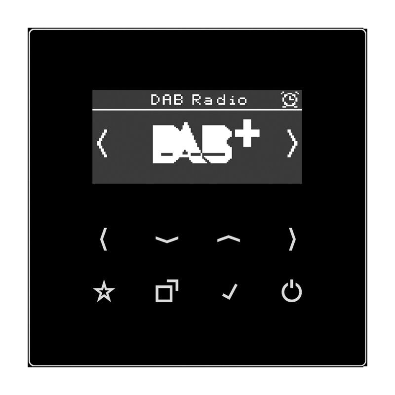 Jung DABLS2SW Smart Radio DAB+, Set Stereo, Serie LS, schwarz