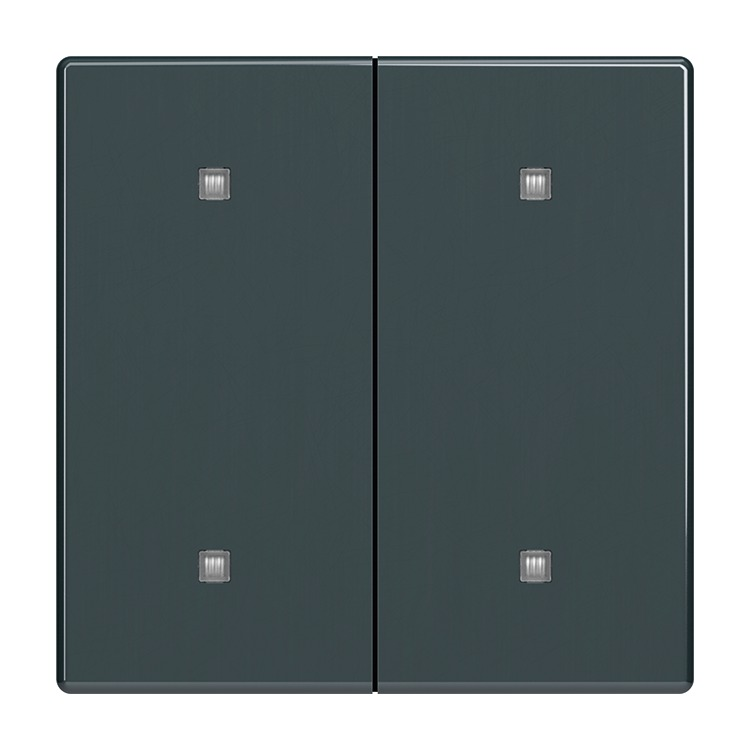 Busch-Jaeger 2570-20-81 Wippe 2-fach für Elektroniktaster mit transparenten Kalotten, anthrazit glänzend