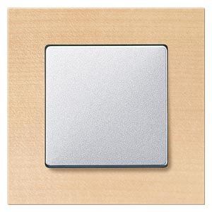Siemens 5TG1101-4 Echtholzrahmen 1-fach