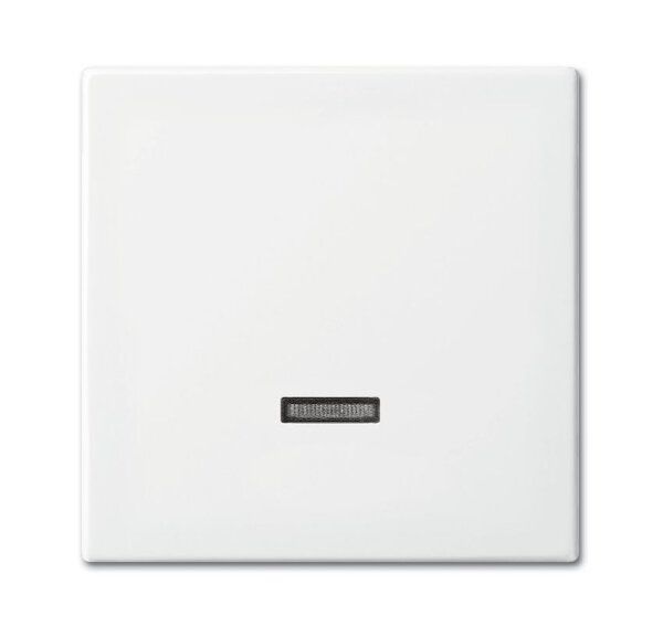Busch-Jaeger 6543-914-102 Bedienelement für Dimmer/Schalter, alpinweiß glänzend, Busch-balance SI