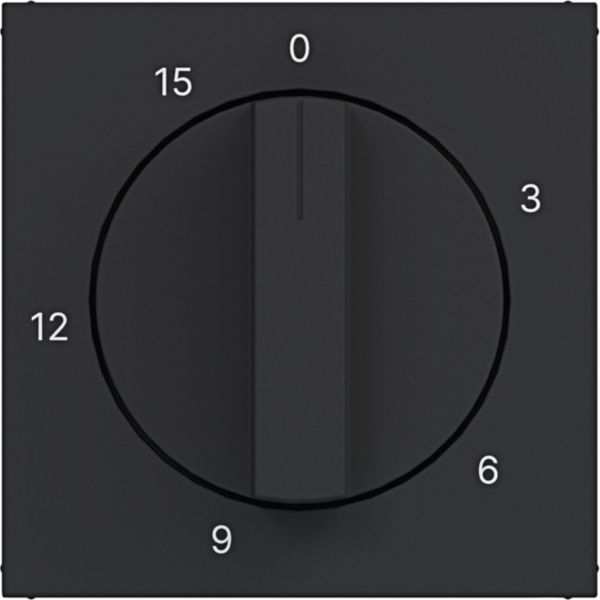 Hager WAF1314BM Zentralstück für mechanische Zeitschaltuhr 0-15 min, A.x/C.x, nachtschwarz matt