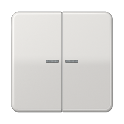 Jung CD595KO5LG Wippe mit Lichtleiter, Duroplast, Serie CD, lichtgrau