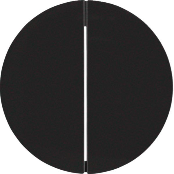 Berker MAN0307624 Wippe 2-fach, R.Classic, schwarz matt