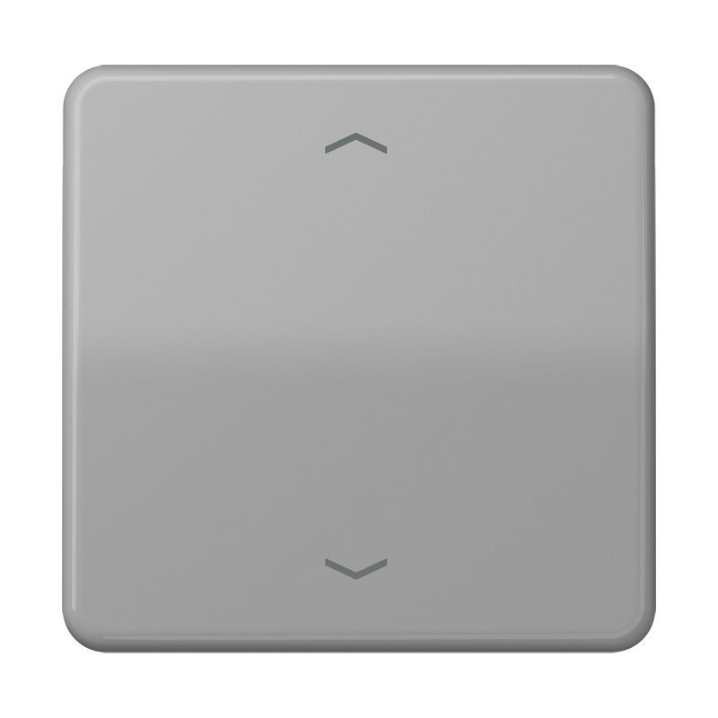 Jung CD101PGR Wippe, mit Pfeilsymbolen für Taster 1-fach, Duroplast, F10, Serie CD, grau