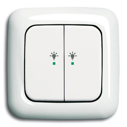 Busch-Jaeger 6231-21-214 Wippe 2-fach links mit Symbol Licht
