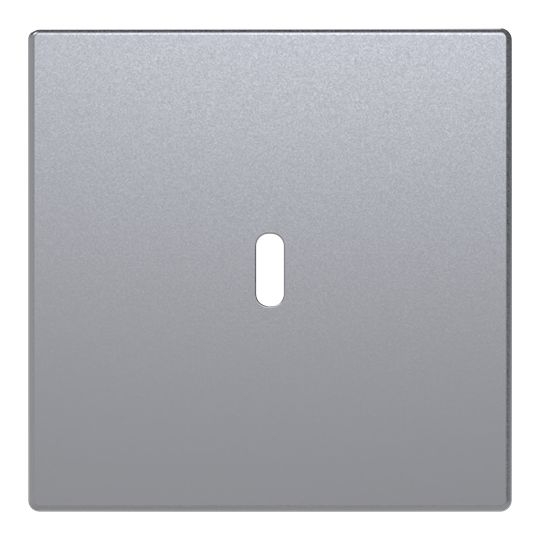 Busch-Jaeger 6479-83 Zentralscheibe für USB Ladestation 1-fach mit USB-C-Anschluss, Plattform 63, aluminium silber matt