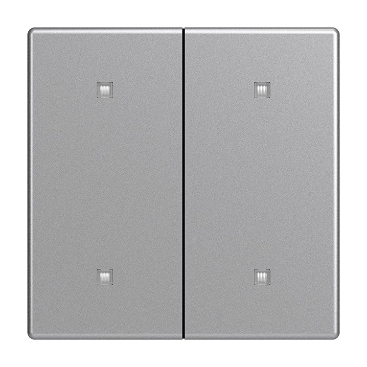 Busch-Jaeger 2570-20-83 Wippe 2-fach für Elektroniktaster mit transparenten Kalotten, aluminium silber matt