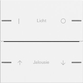 Gira 576227 Wippenset 2-fach individuell Tastsensor 4.55, Reinweiß matt