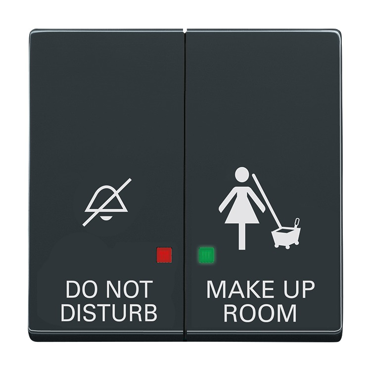 Busch-Jaeger 2058-24-44G Wippe 2-fach für Elektroniktaster mit Aufdruck "DO NOT DISTURB"/"MAKE UP ROOM", Zimmereinheit, anthrazit glänzend