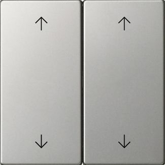 Gira 5387600 Wippe 2-fach Pfeile, System 55, Edelstahl