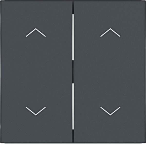 Hager WAW2002AT Wippe 2-fach mit Aufdruck Symbol 4x Pfeile, A.x/C.x, anthrazit matt