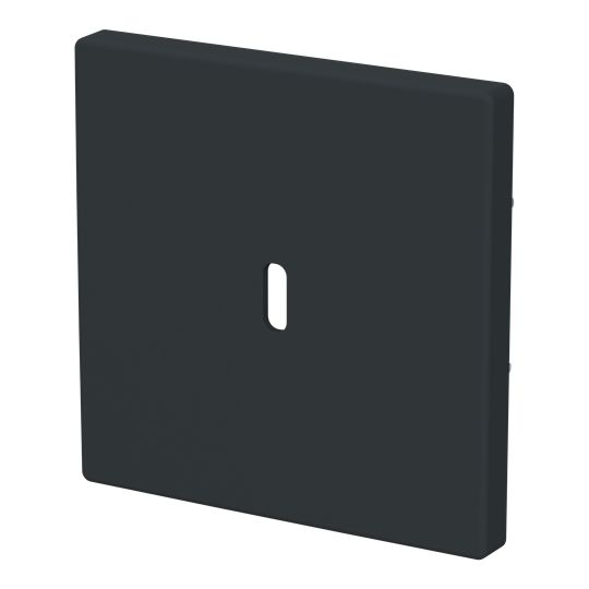 Busch-Jaeger 6479-81 Zentralscheibe für USB Ladestation 1-fach mit USB-C-Anschluss, Plattform 63, anthrazit glänzend