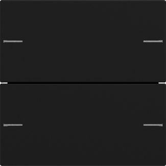Gira 5752005 Wippenset 2-fach für Tastsensor 4.55, Schwarz matt