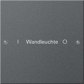 Gira 220128 Wippenset 1-fach beschreibbar System 55 Anthrazit lackiert