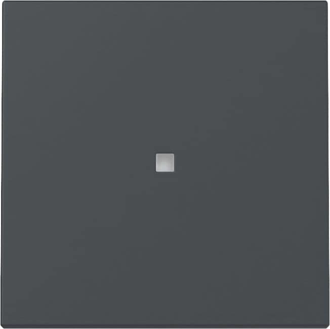 Gira 329028 Wippe Kontrollfenster, System 55, anthrazit