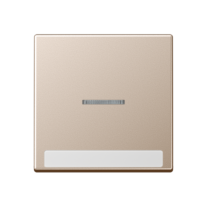 Jung A590BFNAKO5CH Wippe mit Lichtleiter, mit Schriftfeld, Thermoplast lackiert, Serie A, champagner