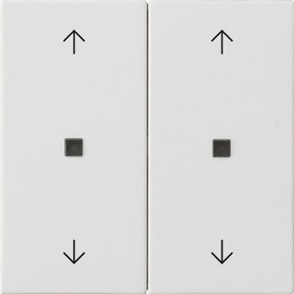 Gira 538627 Wippe 2-fach Pfeile Kontrollfenster, System 55, reinweiß matt