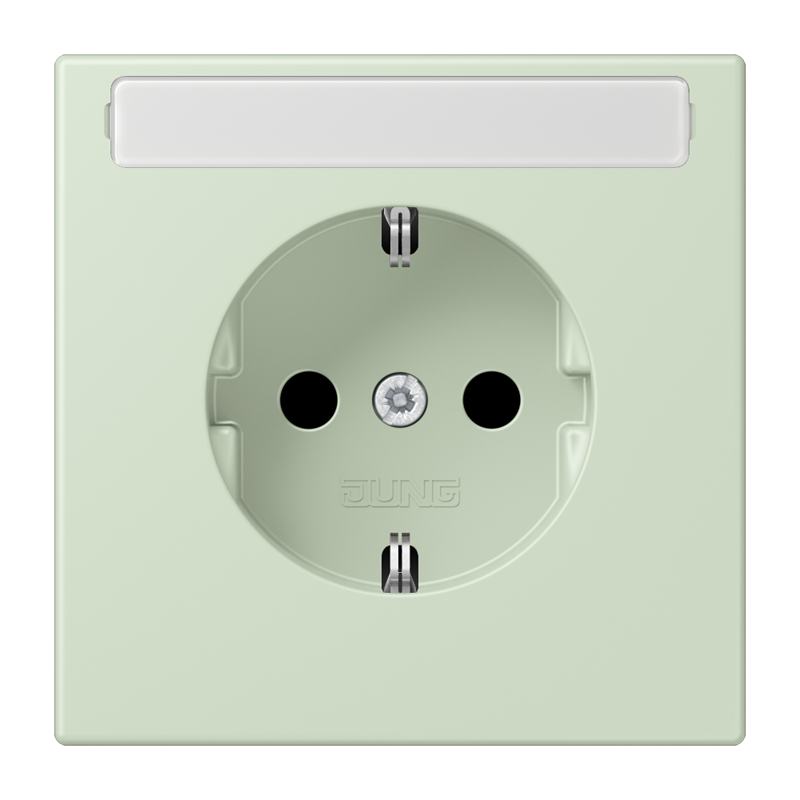 Jung LC1520N218 Schutzkontakt-Steckdose, Les Couleurs® 32042, vert anglais pâle