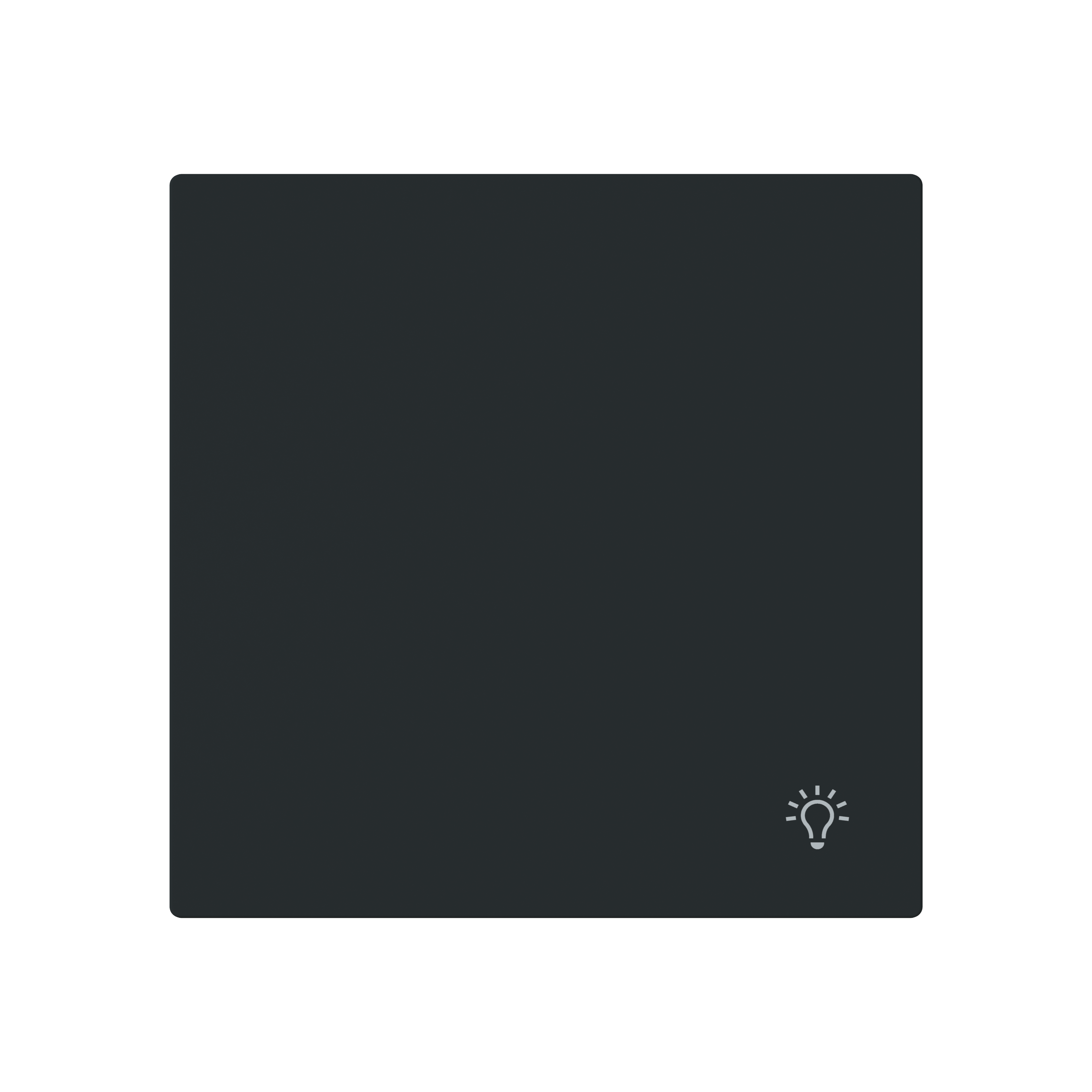 Busch-Jaeger 2520 LI-45M Wippe 1-fach mit Symbol "Licht", schwarz matt, Busch-art linear