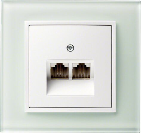 Berker 14091909 Zentralstück für UAE Steckdose 2-fach, S.1/B.3/B.7, polarweiß matt