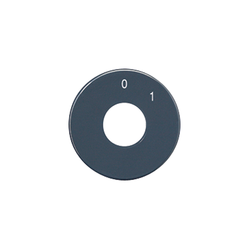 Jung SKS1101-20 Skalenscheibe, Symbole 0 I, anthrazit