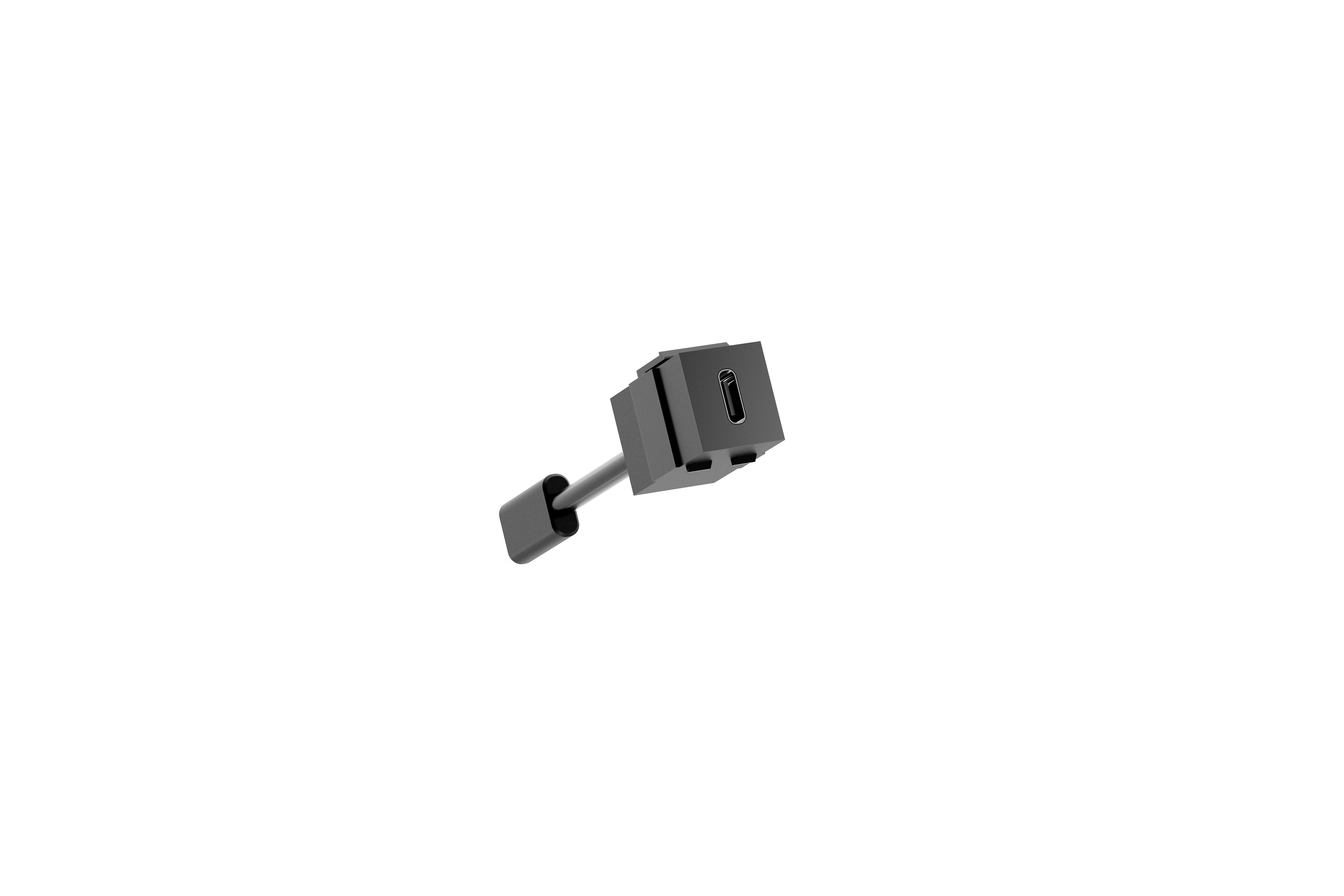Bachmann 917.121 Keystone USB Typ C 3.1 36 W, Rückseite mit 0,5 m Leitung, schwarz
