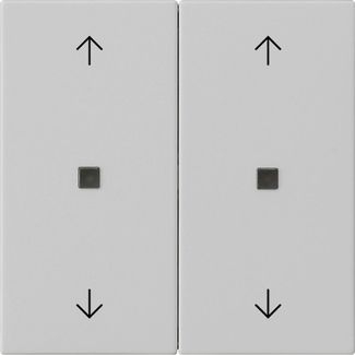 Gira 5386015 Wippe 2-fach Pfeile Kontrollfenster, System 55, grau matt