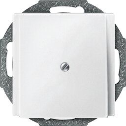 Merten 295619 Zentralplatte Leitungsauslass, System M, polarweiß