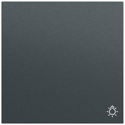 Gira 328573 Wippe mit Symbol Licht, System 70, anthrazit (lackiert)