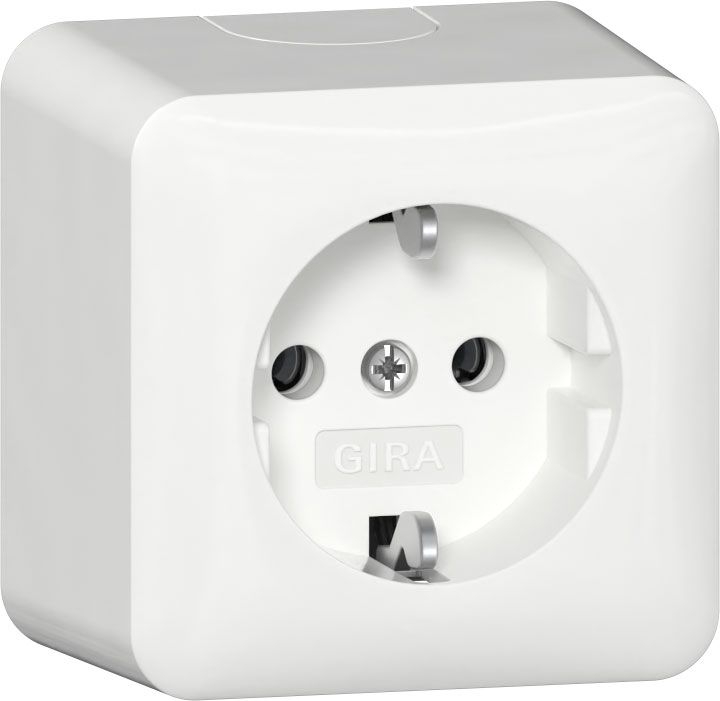 Gira 444013 Schutzkontakt-Steckdose + Montageplatte, Aufputz, reinweiß
